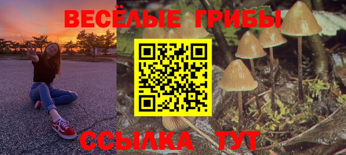 Галлюциногенные грибы мицелий Реж
