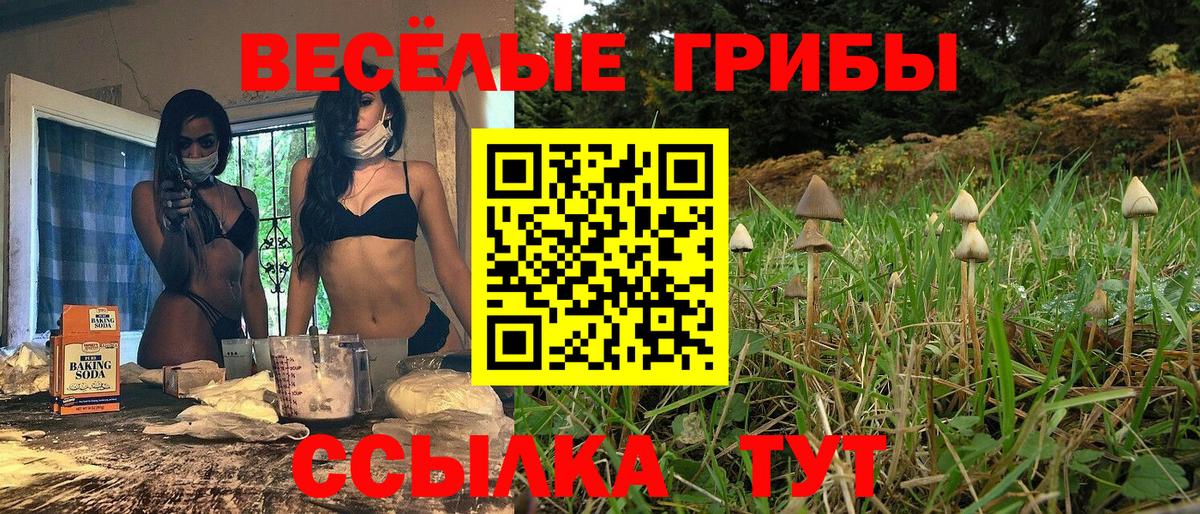 Реж  Галлюциногенные грибы Psilocybe  Вход с VPN 
